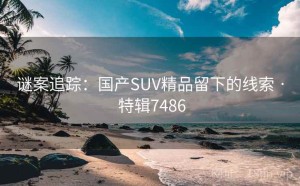 谜案追踪：国产SUV精品留下的线索 · 特辑7486