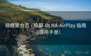 锦鲤聚合页 - 投屏-DLNA-AirPlay 指南（使用手册）