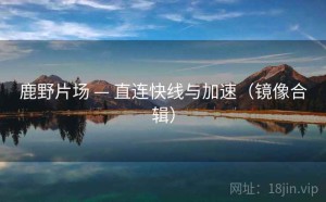 鹿野片场 — 直连快线与加速（镜像合辑）