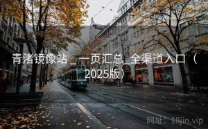 青渚镜像站 _ 一页汇总_全渠道入口（2025版）