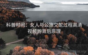 科普时间：女人与公狍交酡过程高清视频的背后原理