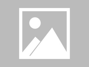 秋水直达页｜多清晰度自适应说明｜2025·更新