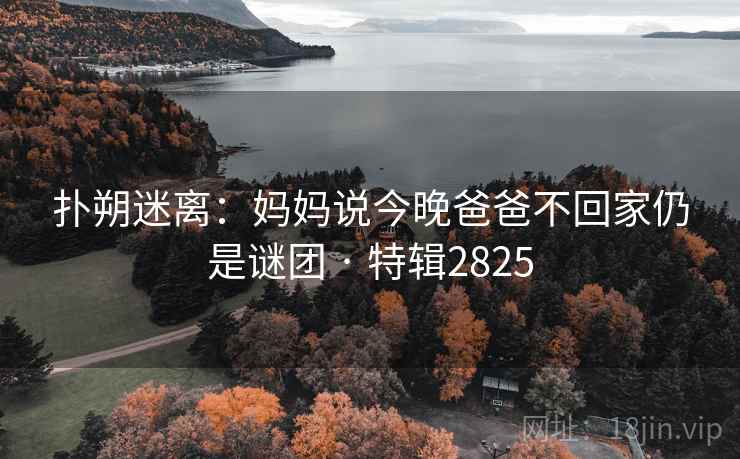 扑朔迷离：妈妈说今晚爸爸不回家仍是谜团 · 特辑2825