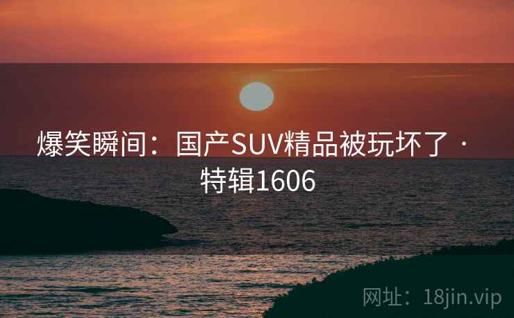 爆笑瞬间：国产SUV精品被玩坏了 · 特辑1606