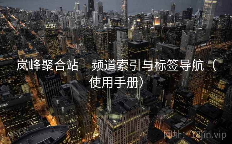 岚峰聚合站｜频道索引与标签导航（使用手册）