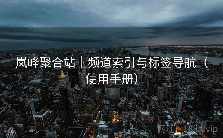 岚峰聚合站｜频道索引与标签导航（使用手册）