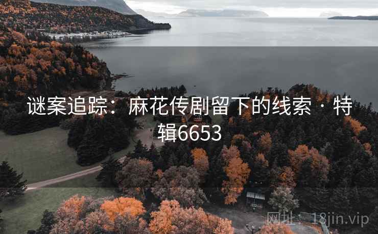 谜案追踪:麻花传剧留下的线索 · 特辑6653 谜案追踪:麻花传剧留下的线索 · 特辑6653